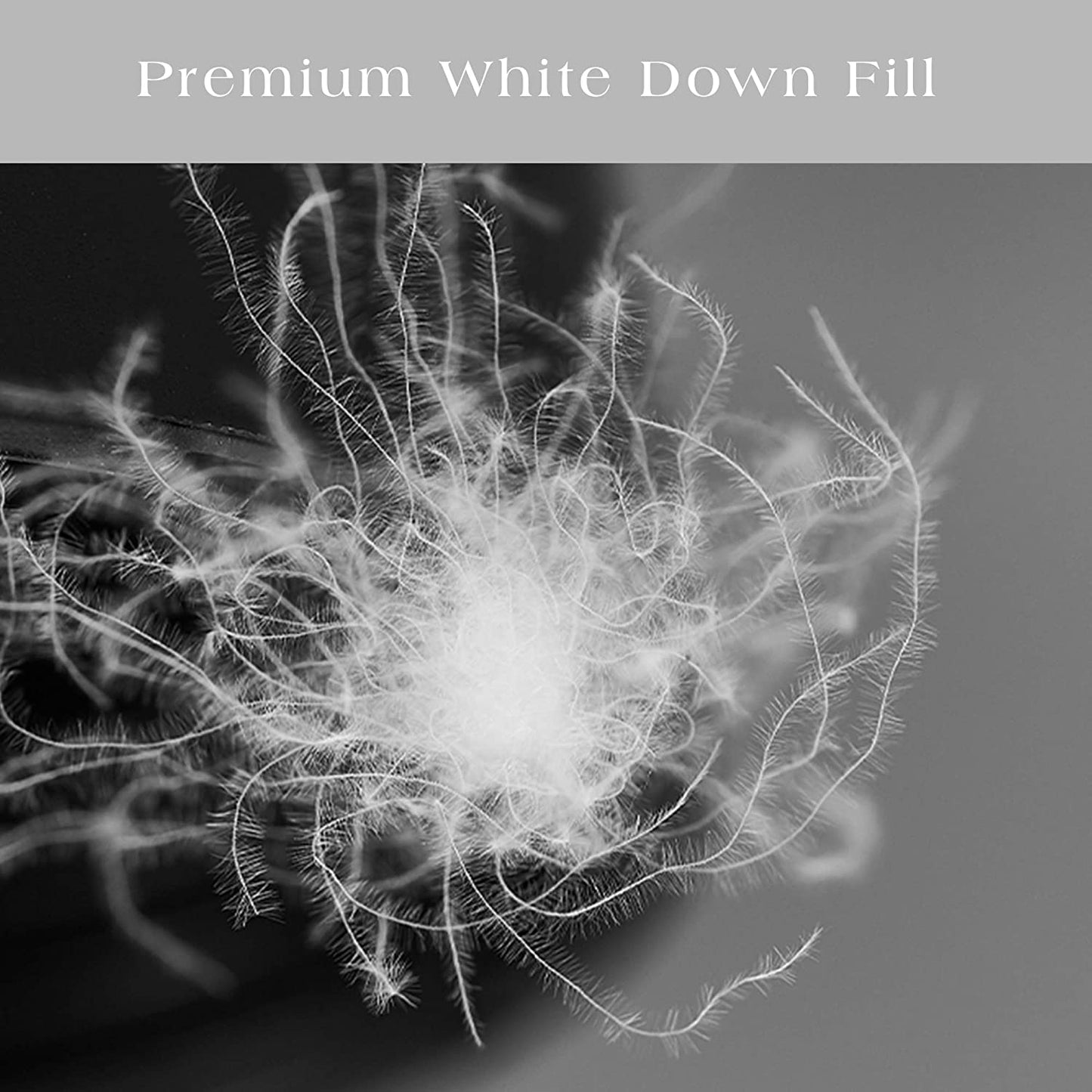 Kasentex Egyptian Cotton and Down Feather Pillow Set, Ivory White