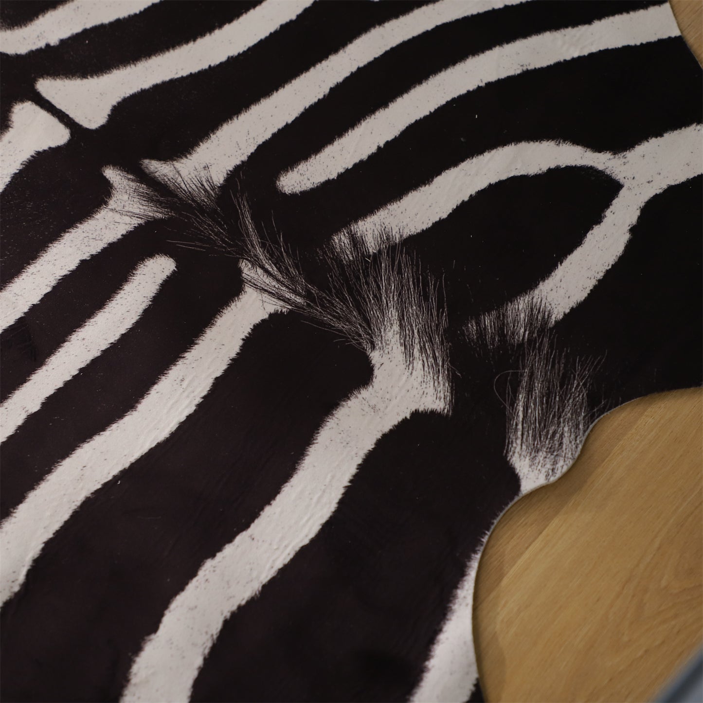 Kasentex Animal Print Area Rug, Country Western Style, Fathers Day Gift, Room Decor, Graduation Gifts
