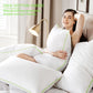 Green Silky Piping Goose Down & Feather Pillow Set