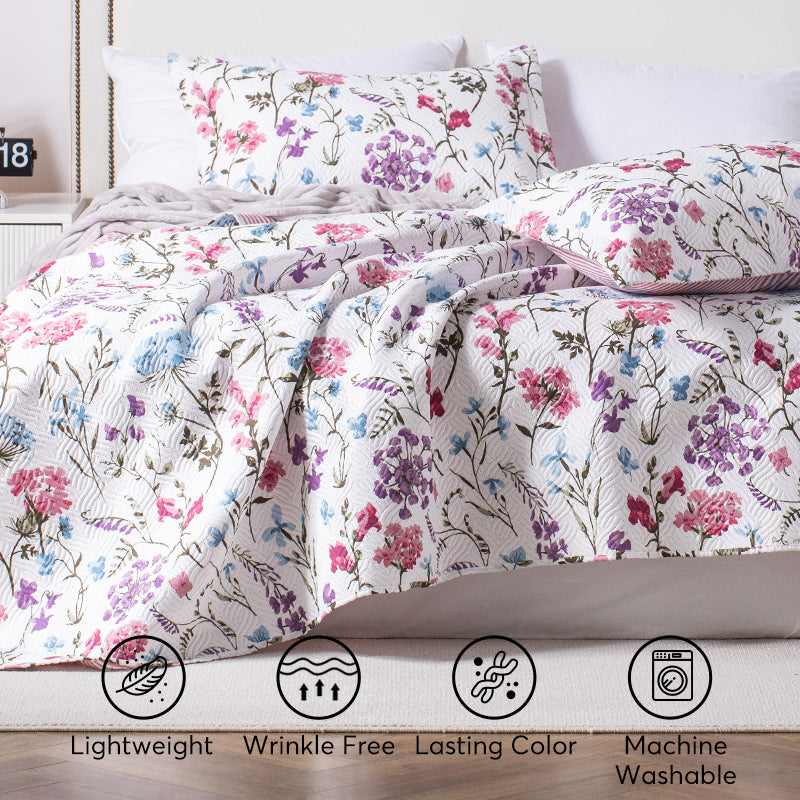 Kasentex Queen Quilt Set - Wholesale Carton - 8 Units