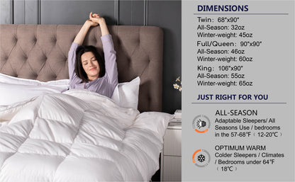 Kasentex All Season Ultra Soft Warm Winter Heavy Weights Goose Down Comforter with Corner Tabs, Box Design Duvet Insert, White