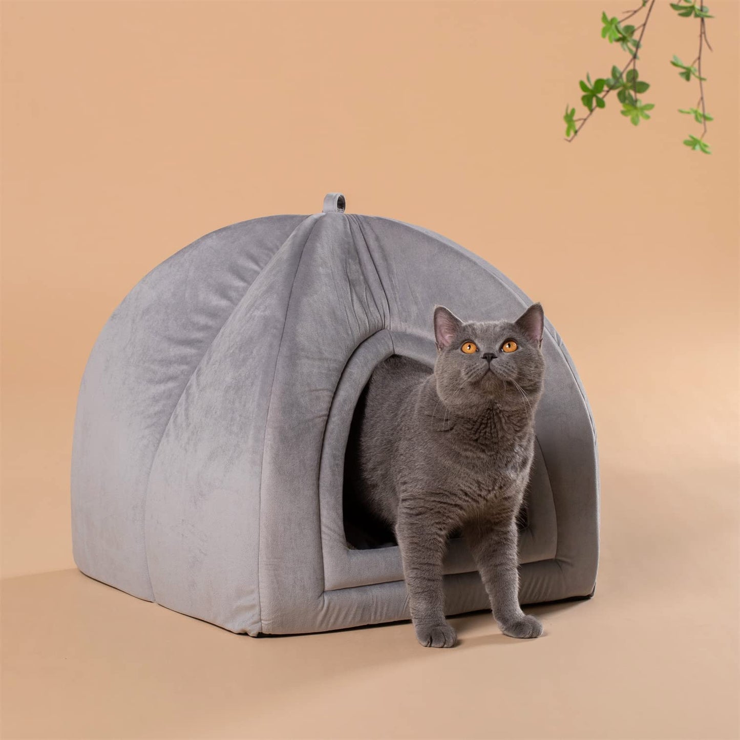 KASENTEX Cat Bed for Indoor Cats, 2-in-1 Cat House Pet Supplies for Large Cat or Small Dog - Animal Cave, Cat Tent with Removable Washable Pillow Cushion