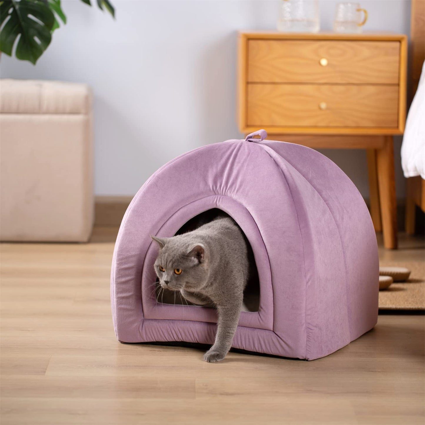 KASENTEX Cat Bed for Indoor Cats, 2-in-1 Cat House Pet Supplies for Large Cat or Small Dog - Animal Cave, Cat Tent with Removable Washable Pillow Cushion