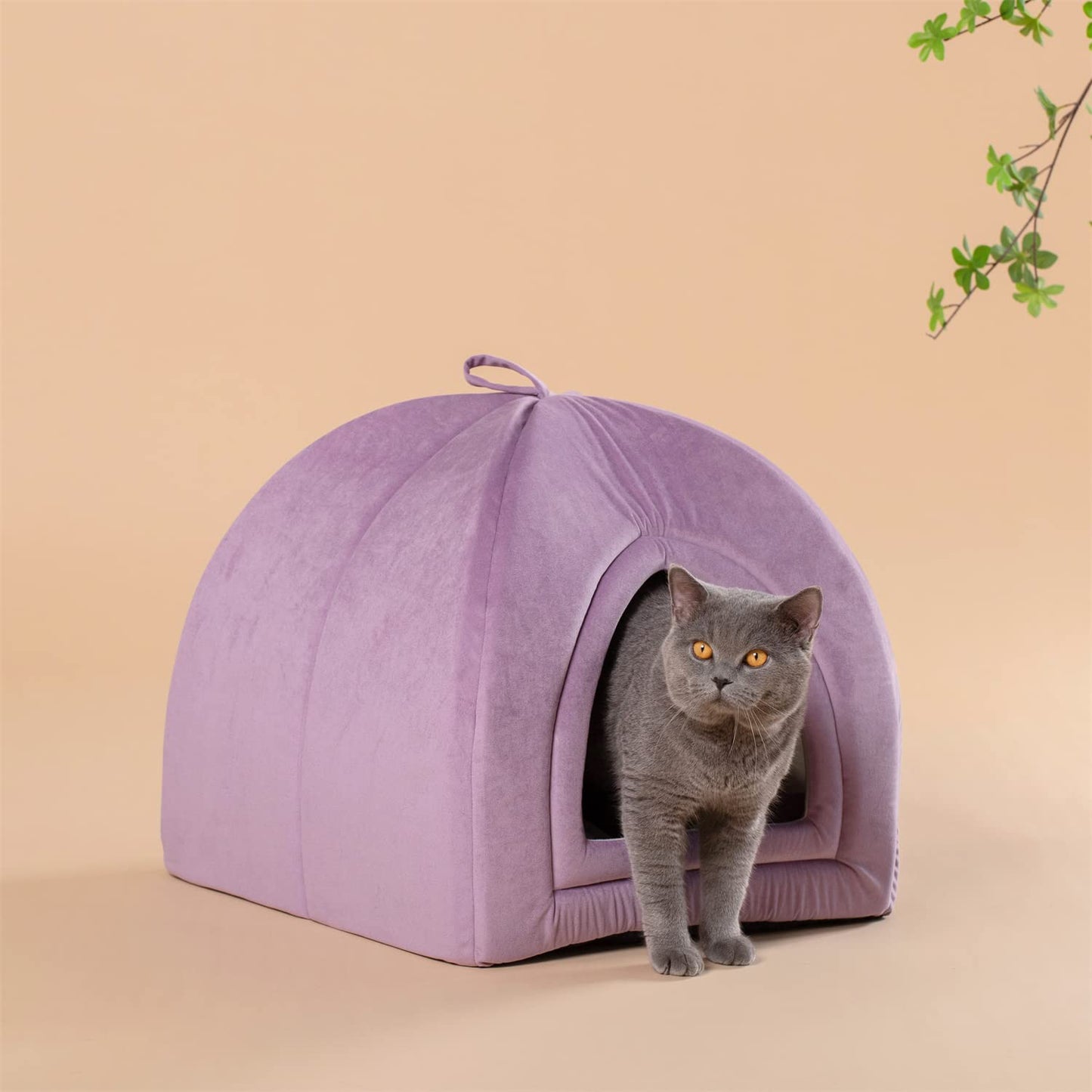 KASENTEX Cat Bed for Indoor Cats, 2-in-1 Cat House Pet Supplies for Large Cat or Small Dog - Animal Cave, Cat Tent with Removable Washable Pillow Cushion