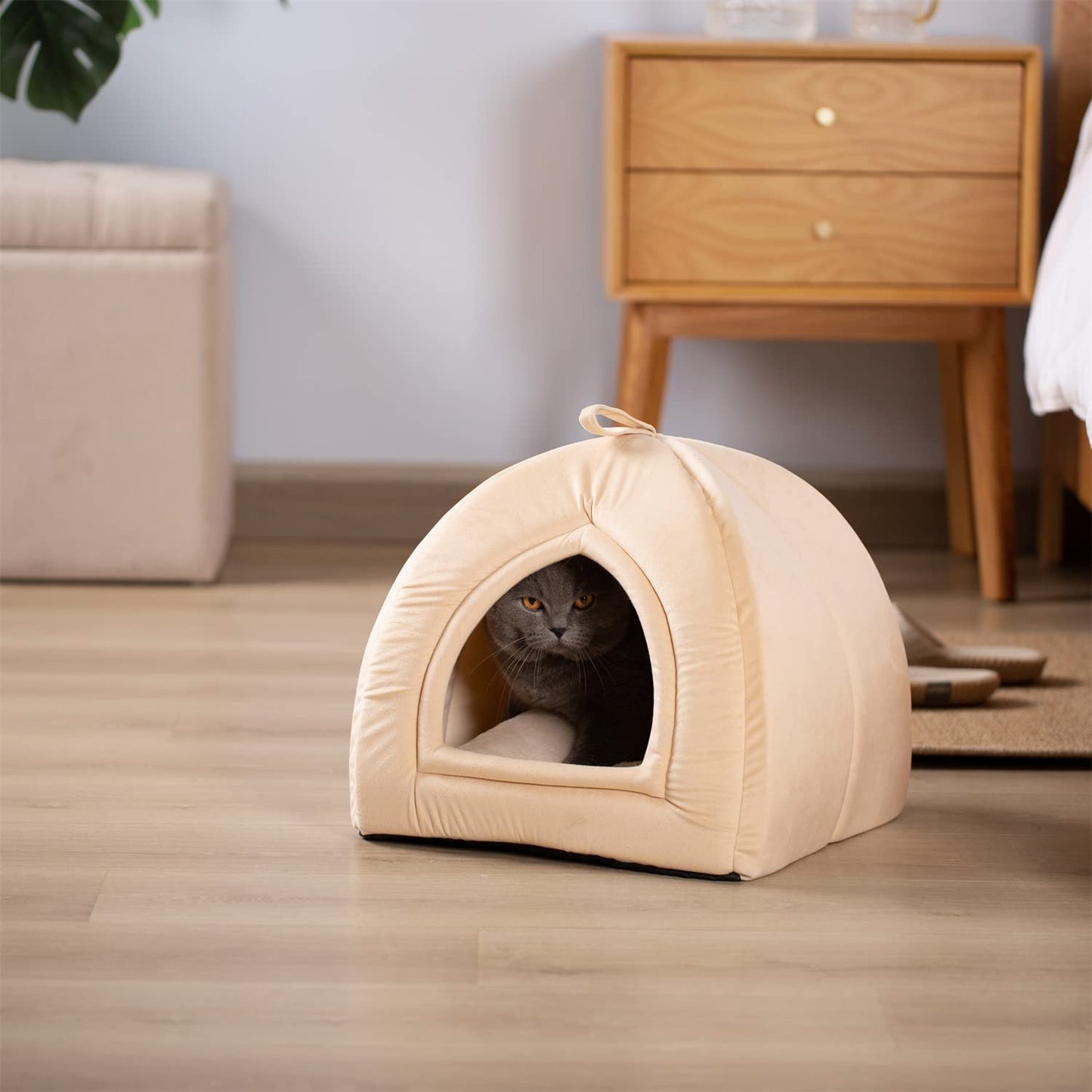 KASENTEX Cat Bed for Indoor Cats, 2-in-1 Cat House Pet Supplies for Large Cat or Small Dog - Animal Cave, Cat Tent with Removable Washable Pillow Cushion