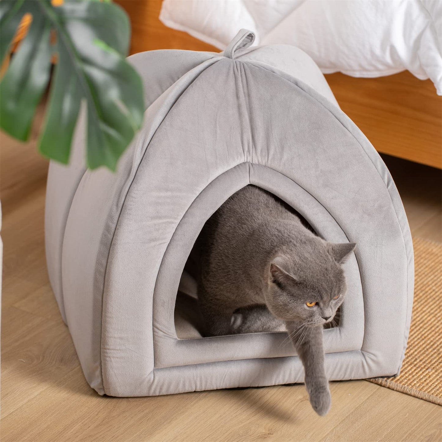KASENTEX Cat Bed for Indoor Cats, 2-in-1 Cat House Pet Supplies for Large Cat or Small Dog - Animal Cave, Cat Tent with Removable Washable Pillow Cushion