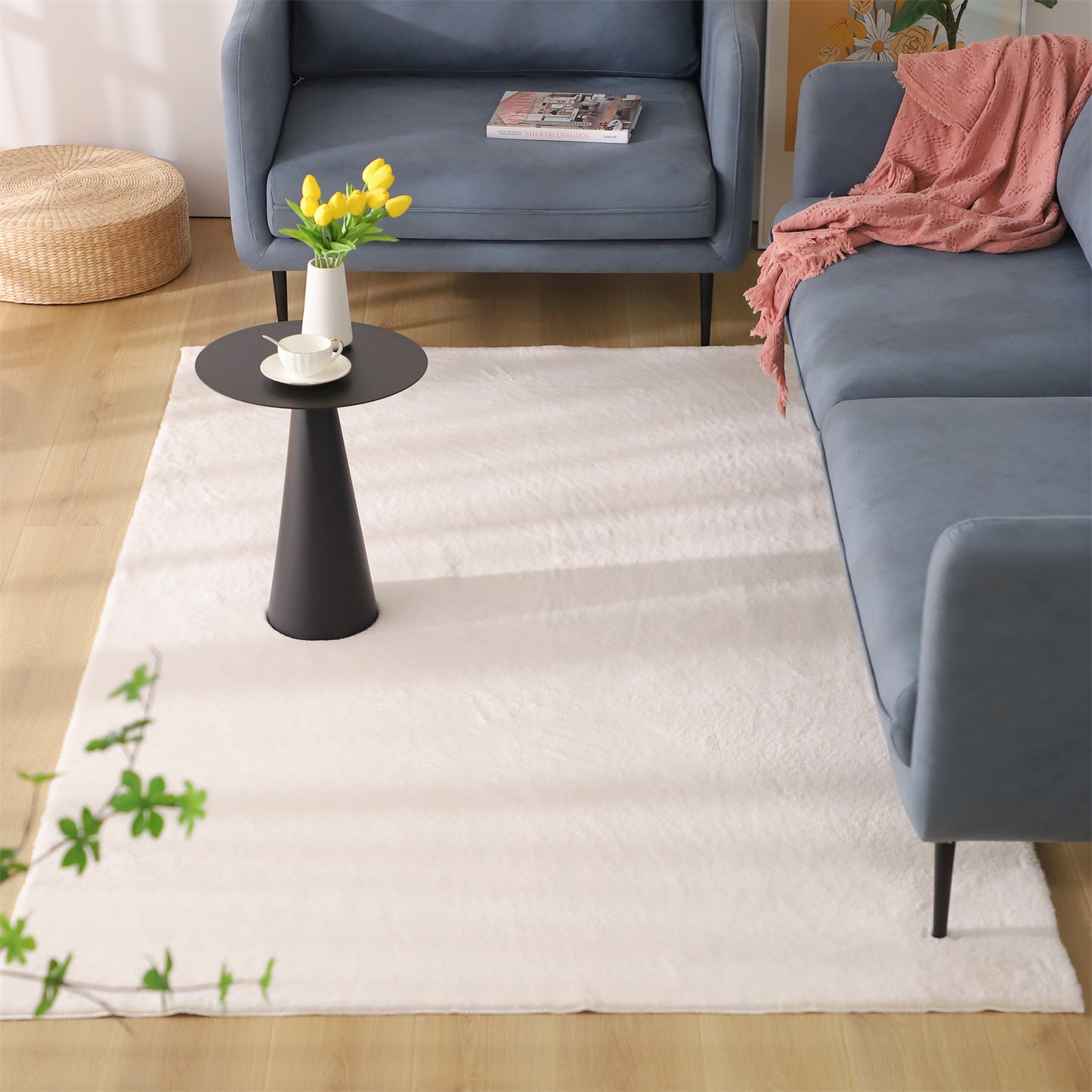 KASENTEX Fluffy Faux Fur Soft Area Rugs