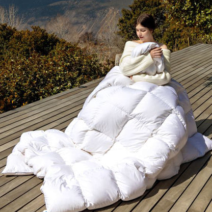 Kasentex All Season Ultra Soft Warm Winter Heavy Weights Goose Down Comforter with Corner Tabs, Box Design Duvet Insert, White