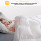 Kasentex All Season Ultra Soft Warm Winter Heavy Weights Goose Down Comforter with Corner Tabs, Box Design Duvet Insert, White