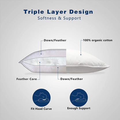 Kasentex 100% Organic Cotton Down Feather Bed Pillow, White