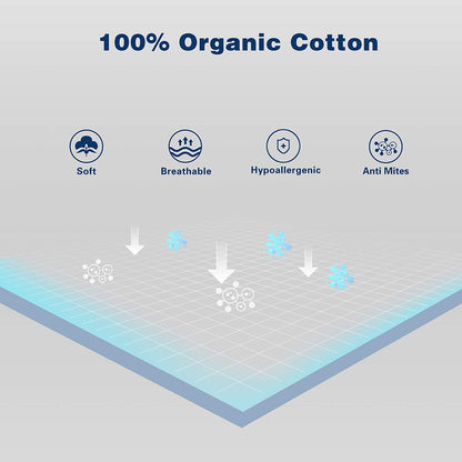 Kasentex 100% Organic Cotton Down Feather Bed Pillow, White