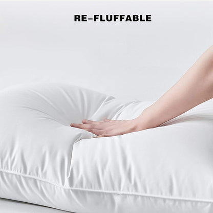 Kasentex 100% Organic Cotton Down Feather Bed Pillow, White