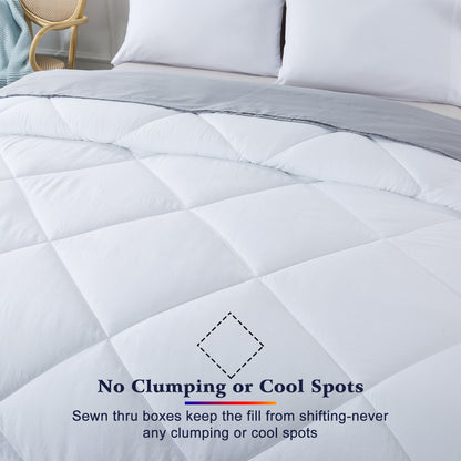 Kasentex Ultra Soft 2-Tone Reversible Comforter Set, Multi Colors, Room Decor, Graduation Gifts, Mom Gift