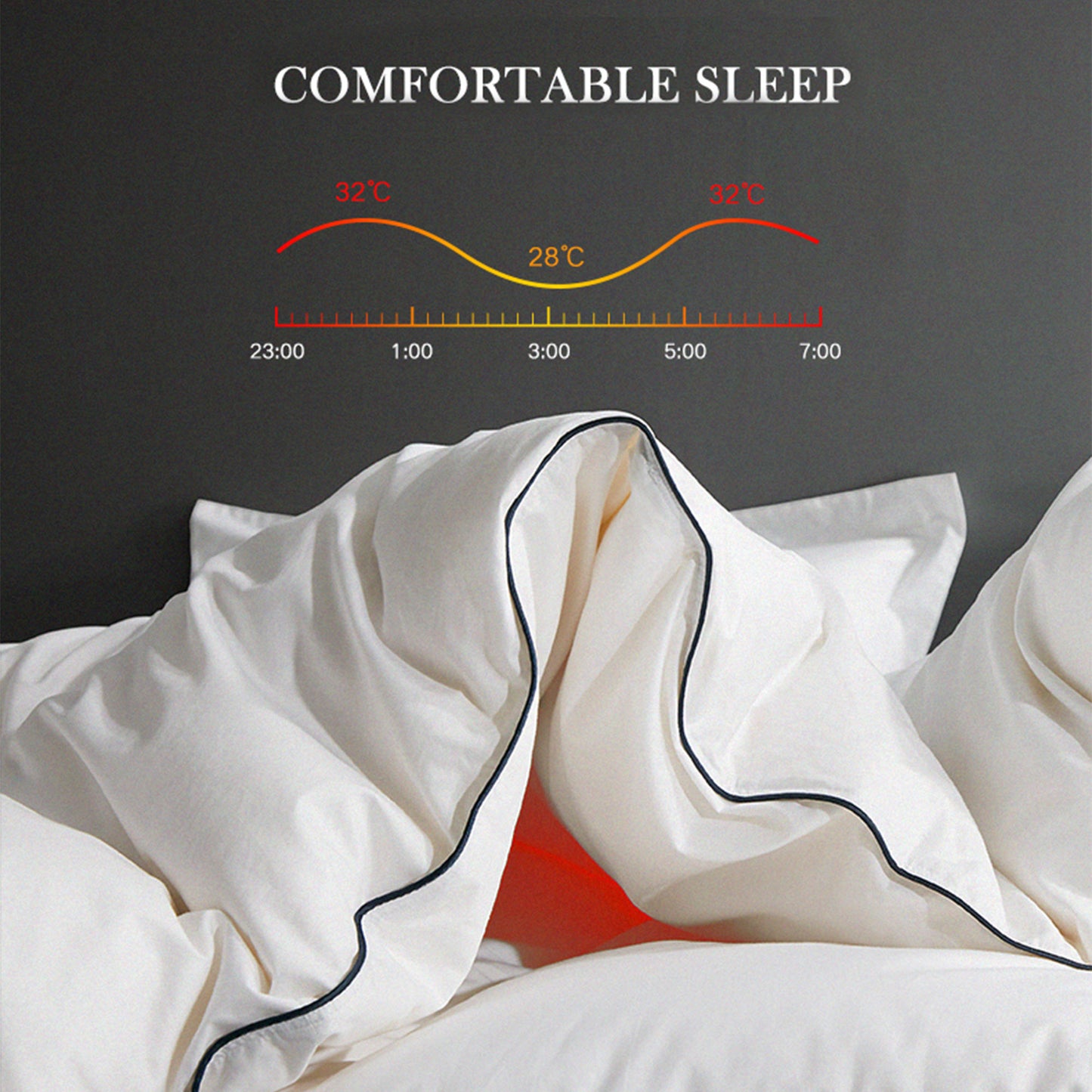 Kasentex Ultra Soft Blue Piped Edge Warm Winter Heavy Weights Down Comforter, White