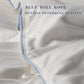 Kasentex Ultra Soft Blue Piped Edge Warm Winter Heavy Weights Down Comforter, White