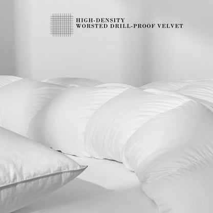 Kasentex Ultra Soft Cotton Plush Gray Piped Edge Down Comforter, White