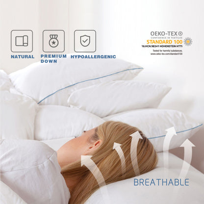 Kasentex Silky Blue Piped Edge King Goose Down Feather Pillow for Bed, White