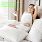 Kasentex Silky Green Piped Edge Goose Down Feather Pillow Set, White