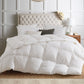 Kasentex Ultra Soft Blue Piped Edge Warm Winter Heavy Weights Down Comforter, White